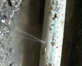 栖霞卫生间测漏水多少钱
